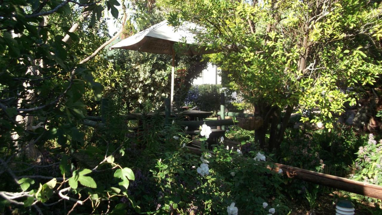 Housemartin Lodge & Self Catering De Rust Buitenkant foto